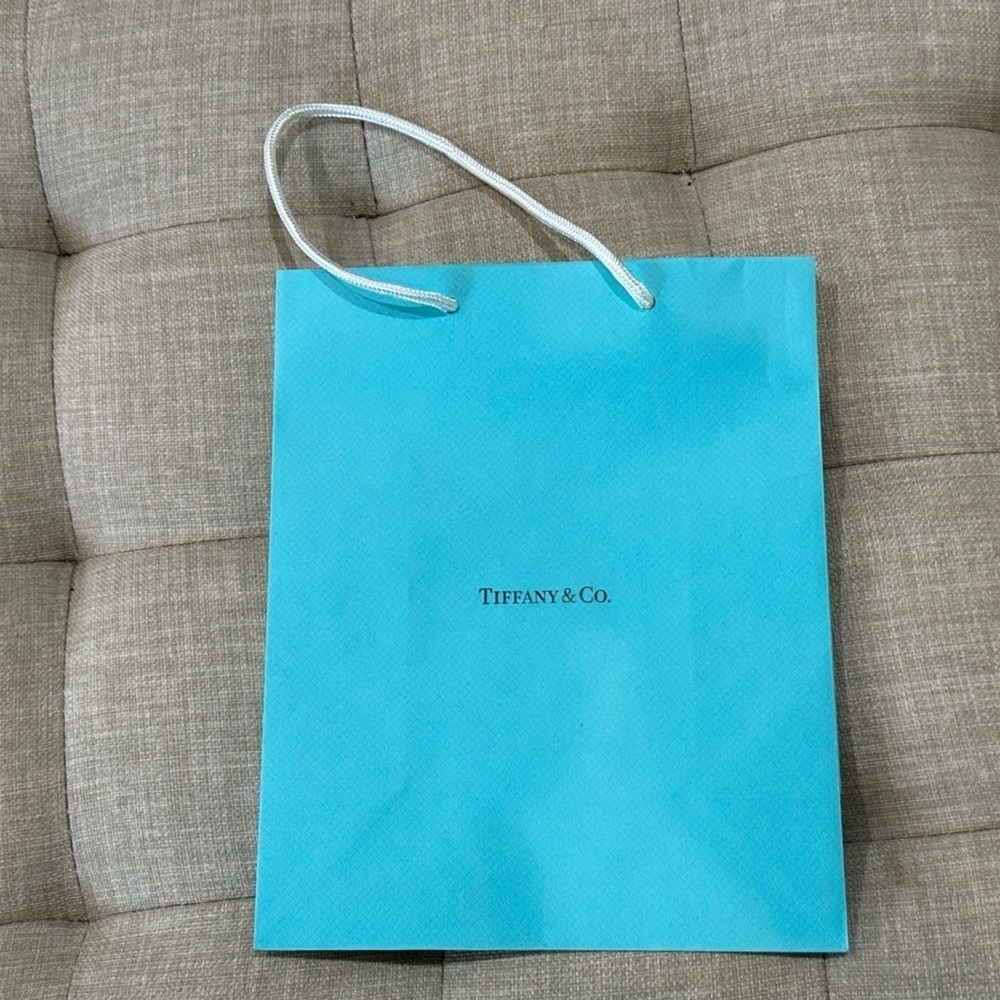 Luxury Shopping Bag Set - Tiffany & Louis Vuitton (Set of 3) EUC - Picture 3 of 9